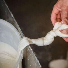 Firenze: laboratorio di mozzarella con degustazione di vini
