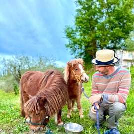 Firenze: Tour della campagna con degustazione di vini e lezione di pasta
