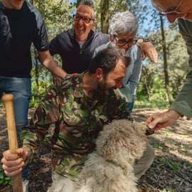 Firenze: caccia al tartufo con pranzo, vino e San Gimignano