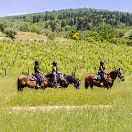 Firenze: Tour a cavallo con degustazione di vini e trasferimento