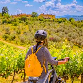 Firenze: Tour del Chianti in E-Bike con pranzo e due degustazioni di vini