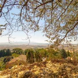 Da Firenze: Tour della Val d'Orcia con degustazione di vini