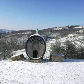 Degustazione di Chianti Classico biologico a Greve in Chianti