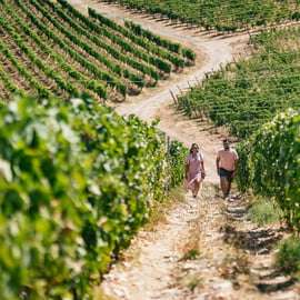 Tour di degustazione di vini nel Chianti da Firenze
