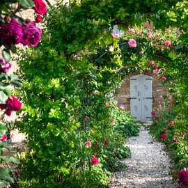 Tour del vino biologico nel Chianti Classico