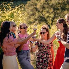 Da Firenze: Tour del vino Chianti con degustazioni