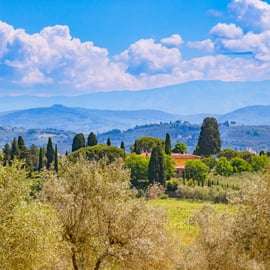 Firenze: Tour del Chianti in E-Bike con pranzo e due degustazioni di vini