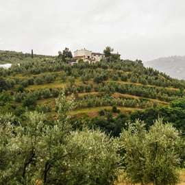 Firenze: tour di campagna in Fiat 500 d'epoca