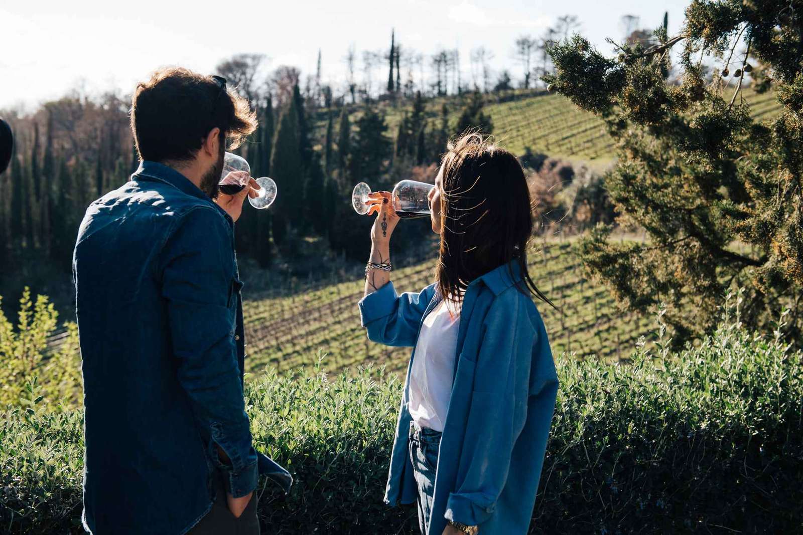 Da Firenze: Tour di mezza giornata sulle colline del Chianti con degustazione di vini