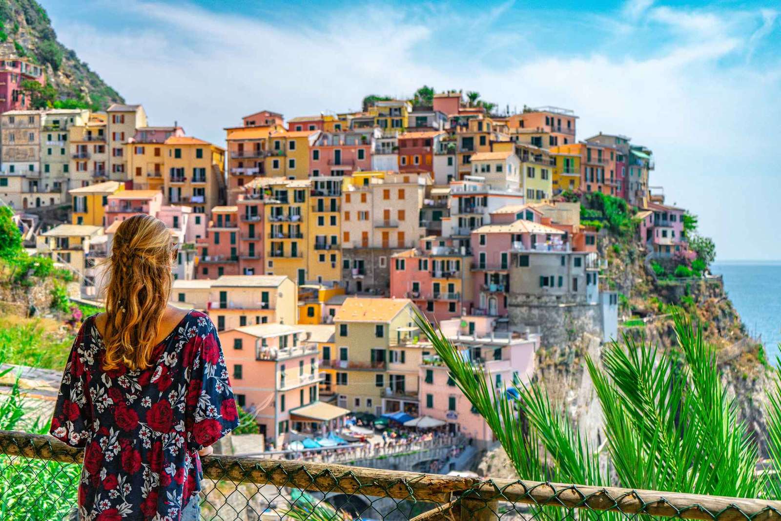 Da Firenze: Escursione di un giorno alle Cinque Terre e a Pisa