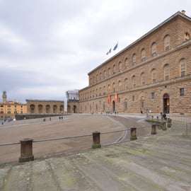 Firenze: Biglietto e tour di Palazzo Pitti e Galleria Palatina
