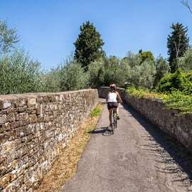 Firenze: tour in bicicletta di mezza giornata nella campagna toscana e degustazioni
