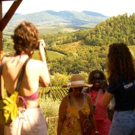 Gita nel Chianti con olio d'oliva, tre cantine e pranzo