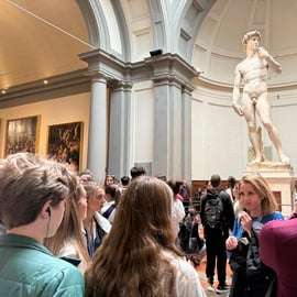 Firenze: Tour veloce dell'Accademia David con salto della fila