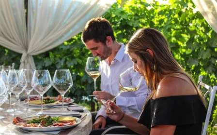 San Gimignano: Degustazione di vino e olio con antipasti toscani