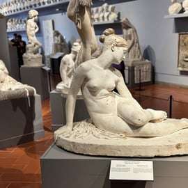 Firenze: Bigli con ingresso programmato al David di Michelangelo & eBook
