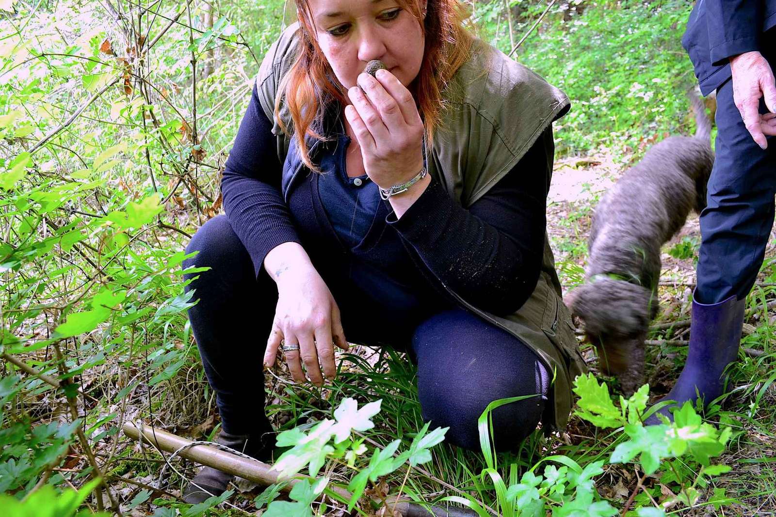 San Miniato: caccia al tartufo, cibo ed esperienza gourmet