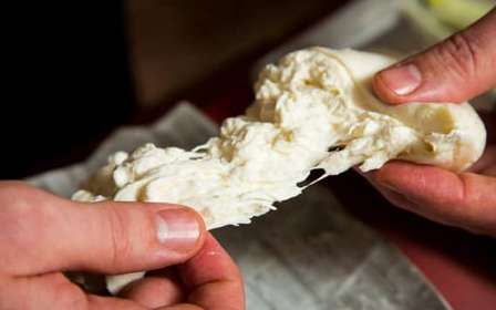 Firenze: laboratorio di mozzarella con degustazione di vini