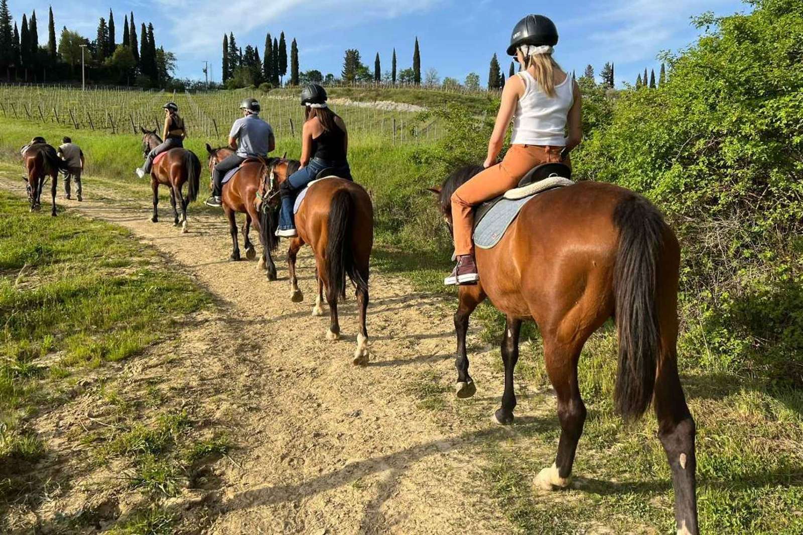 Tour a cavallo con vino da Firenze