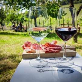 Mezza giornata nel Chianti da Firenze con due cantine