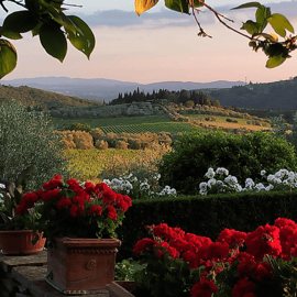 Chianti: visita della cantina dal vigneto alla bottiglia con degustazioni