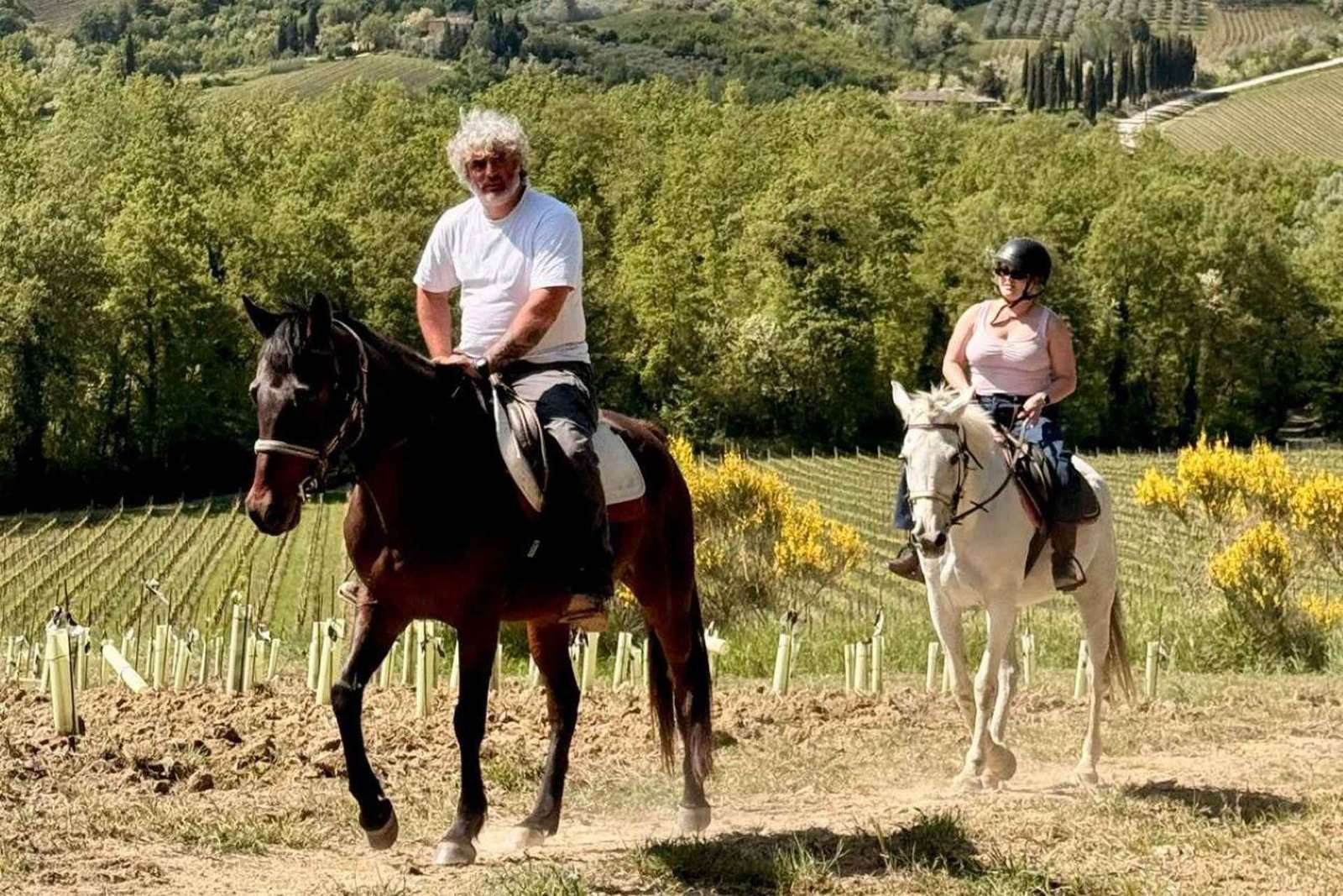 San Gimignano: giro a cavallo tra le colline toscane