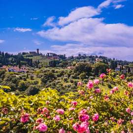 Firenze: Tour guidato di Palazzo Pitti e del Giardino di Boboli