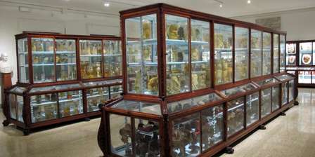 Museo di Storia Naturale