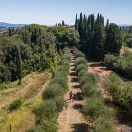 San Miniato: autentica caccia al tartufo + degustazione gourmet